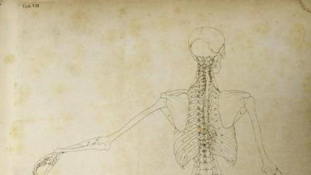 Works that Shaped the World: No single story: Medical Humanities from the Parallel Chart to Performance Art