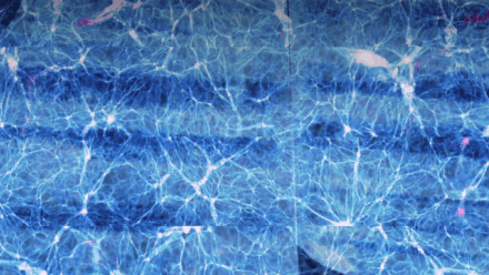 Conversations by the Creek | A Curious Collaboration? The Art and Science of ‘Sounds of Space’ 