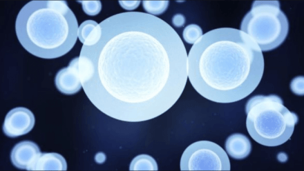 Frankenstein and the Communication Challenges of Regenerative Medicine