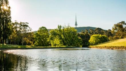 Hear me out: Canberra needs more politicians