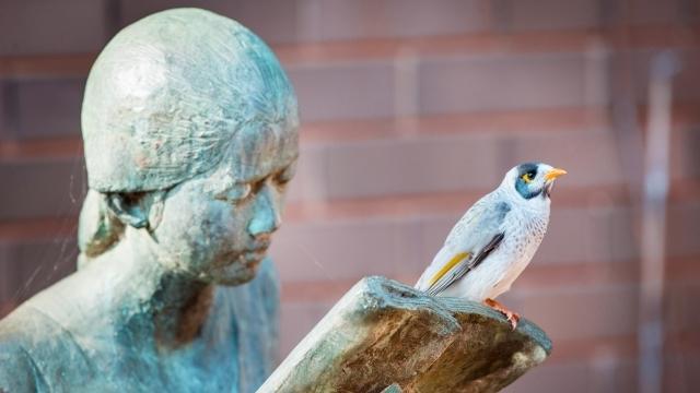 ANU Sculpture Walk - Guided Tour - July