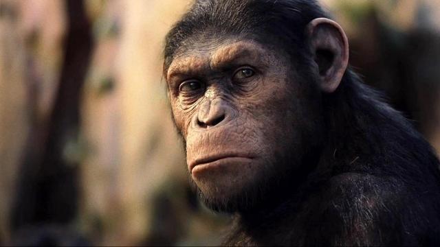 SCIENCE. ART. FILM Rise of the Planet of the Apes & Discussion