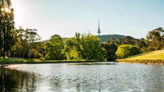 Hear me out: Canberra needs more politicians