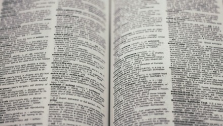 photo of dictionary pages