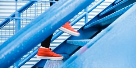 HRC Work in Progress Morning Teas