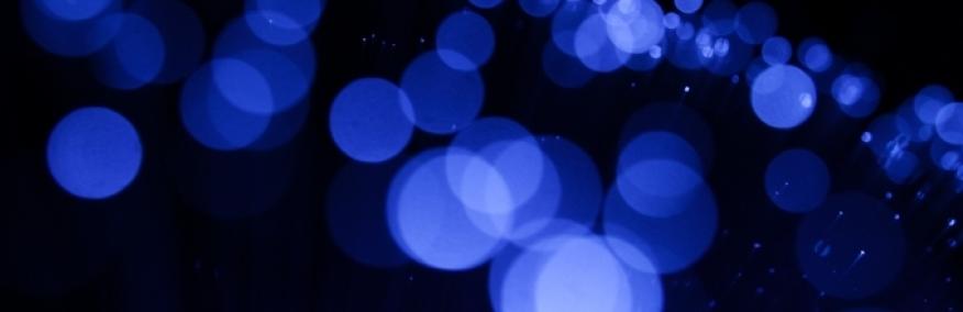 HRC Internal Fellowships